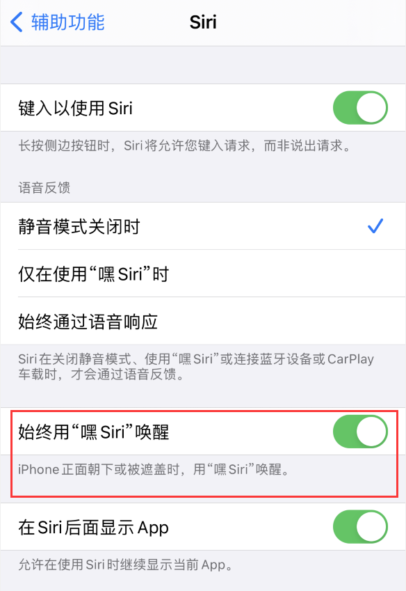 加查苹果手机维修分享使用 iPhone 12 时 Siri 不会正常回应怎么办 