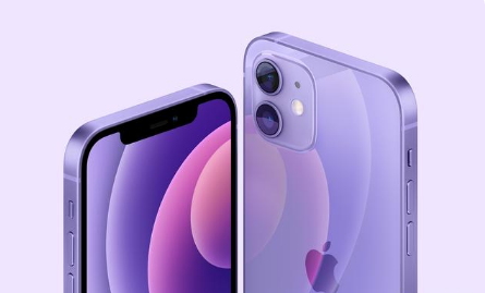加查苹果手机维修分享紫色版iPhone 12有什么技术亮点 